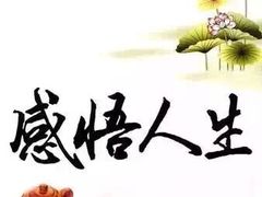 -泉福居酱骨头自助广场(南大街商业步行街店)