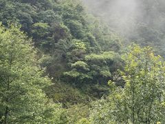 -遂昌金矿国家矿山公园