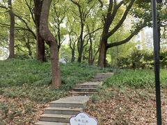 -徐家汇源景区-衡山公园