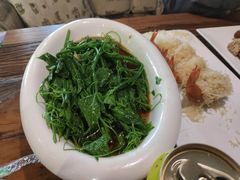 白灼丝瓜尖-YAFEE雅菲·粤菜·湘菜·融合菜(魏公村店)