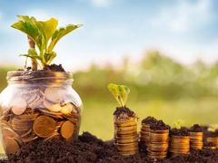 -大米先生(成都青龙街店)