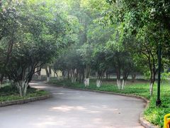 花家山庄8-杭州花家山庄