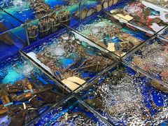 -霞涌市场海鲜摆卖区