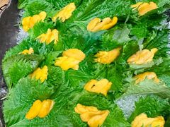 -初花·日本料理