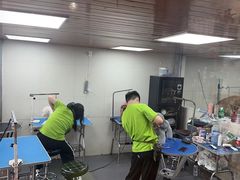 -转角宠物(转塘方家苑店)