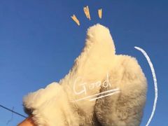 -阿爆柠檬茶(容桂店)