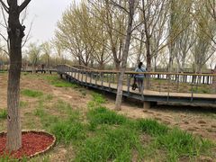 -东郊湿地公园