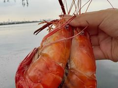 -品鲜村农家菜·阳澄湖大闸蟹(总店)