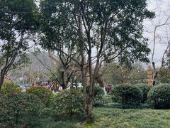 -杭州黄龙洞