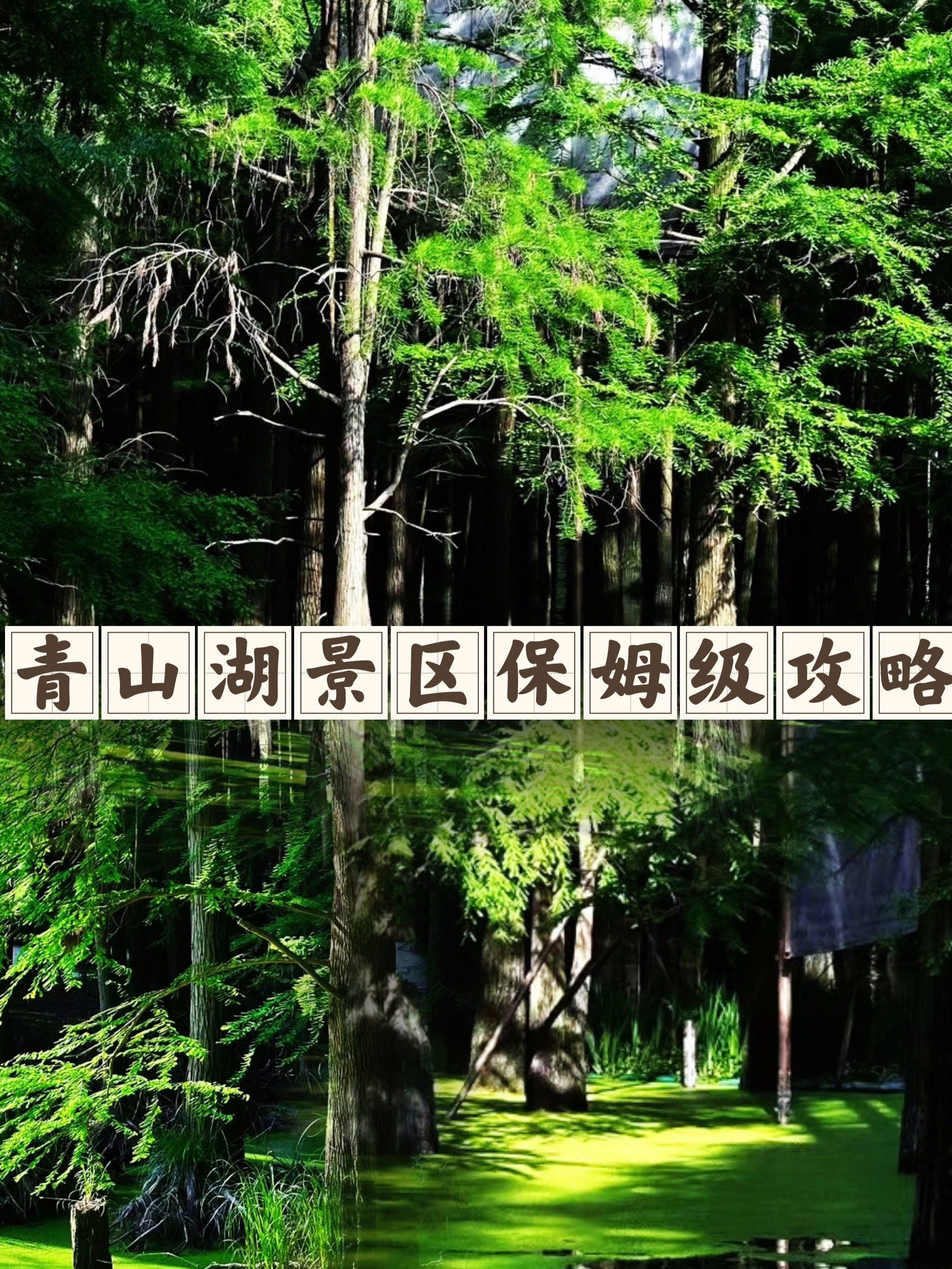五一旅行攻略