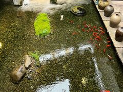 -几荷·恰似故人来(秀水广场店)