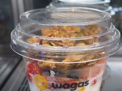 -Wagas沃歌斯(汇智店)