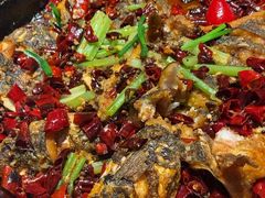 -老板恋上鱼(恒隆广场店)