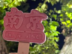 -夫子庙秦淮河画舫