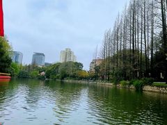 -高东镇樱花园