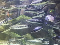 -多彩贵州城极地海洋世界