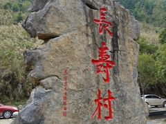 -长寿村