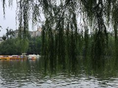 -莲湖公园