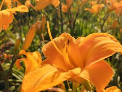 -汉长安城未央宫国家考古遗址公园