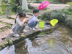 -重庆彩云湖湿地公园