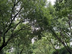 -阳光码头海鲜火锅(世纪大道店)