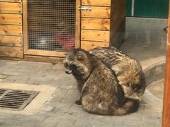 -静之湖度假区
