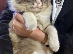 -白兔子密室(长寿路店)