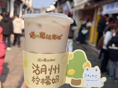 -猫的魔法密林(衣裳街店)