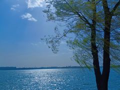 -丁香湖公园