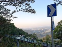 -黄埔油麻山森林公园