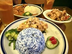 -马来MO简餐.南洋风味料理(美食街店)