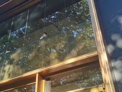 -星巴克臻选(南京艾尚天地店)