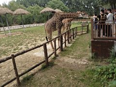 -北京野生动物园