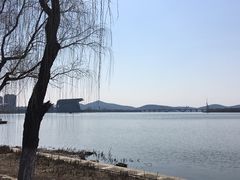 -高子水居