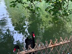 -乌村