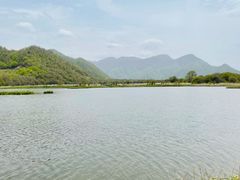 -大九湖