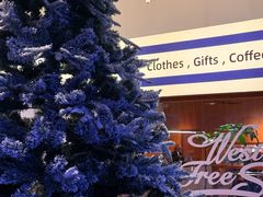 -镜泊湖酒家(兴华街金鼎店)