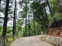 -莫干山风景区