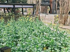 -天怡·鱼工厂(梅溪湖店)