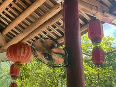 -周洛大峡谷