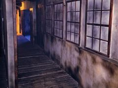 -屋有岛沉浸游戏旗舰店(中山公园店)