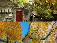 -北门涮肉·铜锅涮肉(南锣鼓巷店)