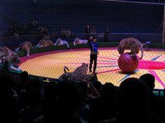 -西安秦岭野生动物园