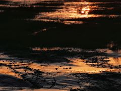 -汤山公园