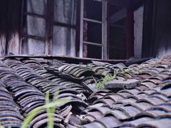 -丹山赤水风景名胜区