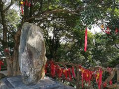 -广州市帽峰山景区