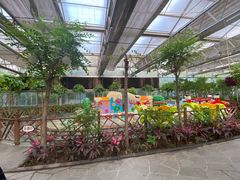 -南宫五洲植物乐园