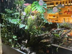 -森味薪火烧•烧鸟居酒屋•日本料理(望京店)