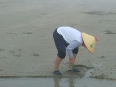 -红树林天天赶海