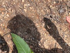 -青龙山国家森林公园